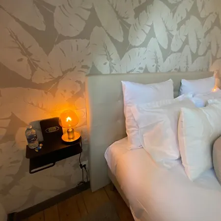 Hotel Maison Colodge Delory Barbieux 4*